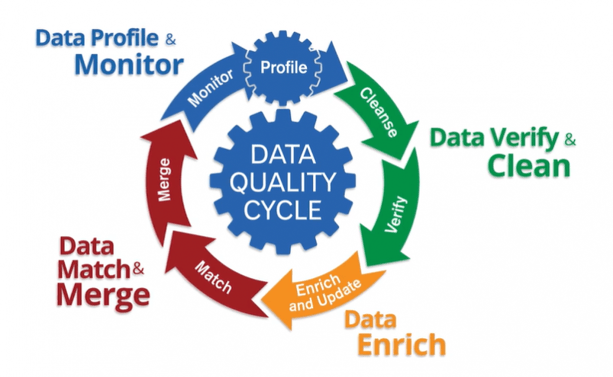 The Data Quality Life Cycle